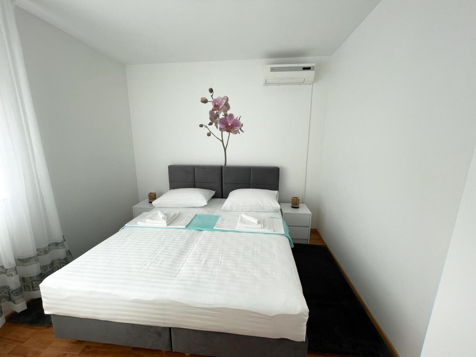 Apartmani Tatjana Novalja Extérieur photo